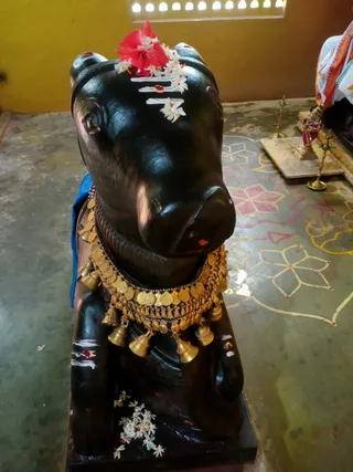 KAILASA Salem On 10/11/2025
