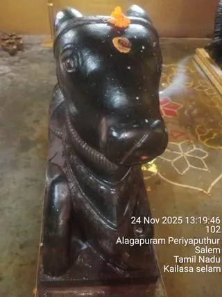 KAILASA SALEM On 11/24/2025