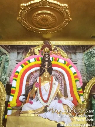 A photograph of a golden deity murti seated in a shrine at Kadathur Agraharam, Tamil Nadu. The seated golden figure wears a white and gold-bordered dhoti and a red-and-gold shawl, with a long red-and-gold garland, a white jasmine garland, and pink flower petals on the lap. A tall black conical headdress with a gold chain and gem ornaments rises above, topped by a small golden head. Behind it an arch of concentric garlands in pink, white, yellow, red and green frames the figure, with a golden head-ornament visible at the top of the arch. The backdrop shows a painted temple-gopuram and trees scene, and the ceiling is gold with a carved lotus medallion. A timestamp and location caption read 19 Oct 2026 11:52:55 am, Kadathur Agraharam, Tamil Nadu, kailasa seeragapadi.