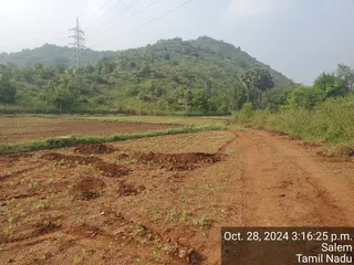 KAILASA Salem On 27/10/2024