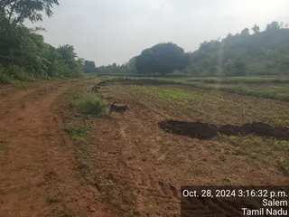 KAILASA Salem On 27/10/2024