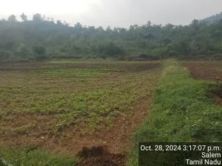 KAILASA Salem On 27/10/2024