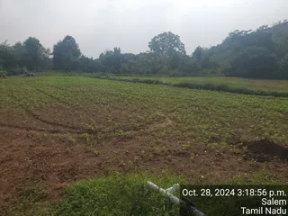 KAILASA Salem On 27/10/2024
