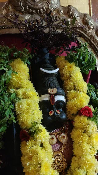 A close photograph of a black stone deity murti at a temple shrine, its face adorned with a white crescent-shaped tilak on the forehead, a red and gold jewelled ornament at the centre, and red-stoned nose and ear ornaments. Long yellow marigold garlands drape over the murti's shoulders, interspersed with red roses and green leaves, and dark purple tulsi sprigs rest atop the head. Gold jewelled pendants and a gold necklace hang at the chest over a patterned maroon cloth. Behind it stands an ornate brass-toned arch framing the shrine. No people are visible.
