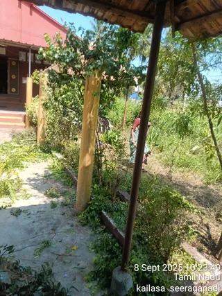 A photograph of an outdoor grounds area at KAILASA Seeragapadi where a woman in a green sari with a maroon blouse works among overgrown greenery, apparently clearing vegetation with a long tool. Yellow-painted pillars and a thatched overhang frame the foreground, and a red building with gold-accented doors stands at left beside a concrete walkway littered with cut leaves. Bright daylight and trees fill the background.