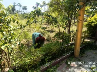 KAILASA SEERAGAPADI On 8/9/2025