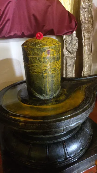 A photograph of a Shiva lingam on a black stone yoni-peetha base, its dark cylindrical surface streaked with yellow turmeric paste and marked with a small red kumkum dot. A single red flower rests on top of the lingam. Behind it hangs a maroon cloth and ornate silver-embossed pillars. Water or abhishekam liquid pools in the yoni basin. No people are visible.
