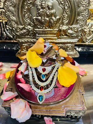 KAILASA HOUSTON, USA On 9/9/2024