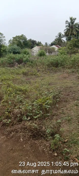 KAILASA Salem On 23/8/2025