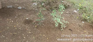 KAILASA Salem On 23/8/2025