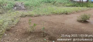 KAILASA Salem On 23/8/2025