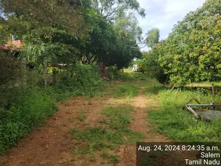 KAILASA Salem On 23/8/2024