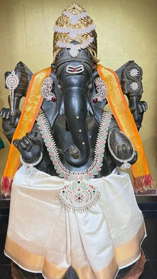 KAILASA Houston On December 20, 2025