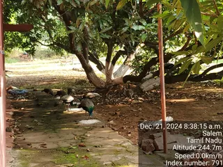 KAILASA Salem On 20/12/2024