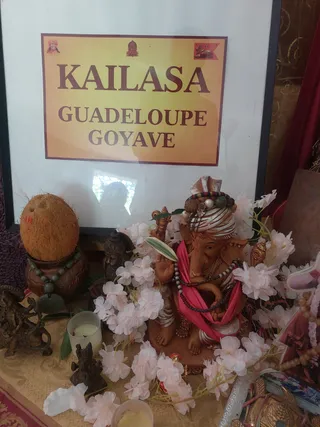 KAILASA GOYAVE GUADELOUPE On February 7, 2026