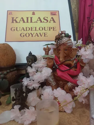 KAILASA GOYAVE GUADELOUPE On February 7, 2026