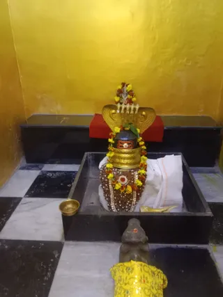 KAILASA KASHI INDIA On 7/2/2025