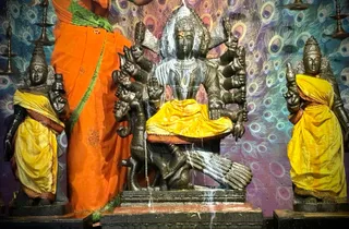 KAILASA Houston On January 17, 2026