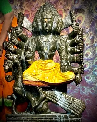 KAILASA Houston On January 17, 2026