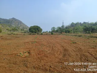 KAILASA TIRUVANNAMALAI SRI NITHYANANDA JANMABHUMI KSHETRAM On January 17, 2026