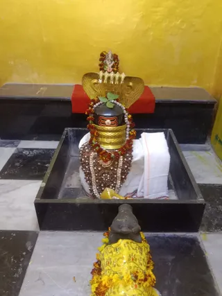 KAILASA KASHI INDIA On 25/1/2025