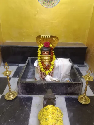 KAILASA KASHI INDIA On 25/1/2025