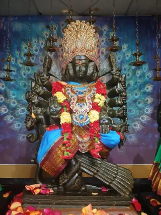 KAILASA Houston On February 1, 2026