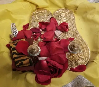 KAILASA LOS ANGELES, USA On 15/6/2024