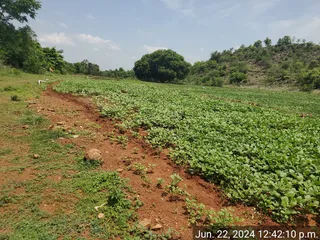 KAILASA SALEM On 22/6/2024