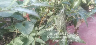KAILASA THIRUCHENGODE On 27/6/2025