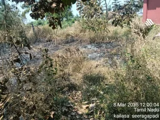 KAILASA SEERAGAPADI On 7/3/2025