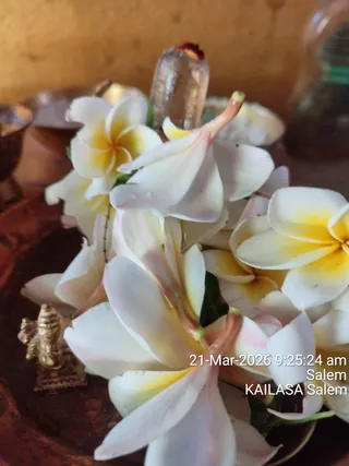 KAILASA SALEM On March 21, 2026