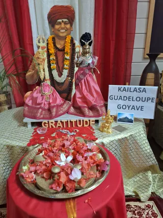 KAILASA GOYAVE GUADELOUPE On 29/3/2025