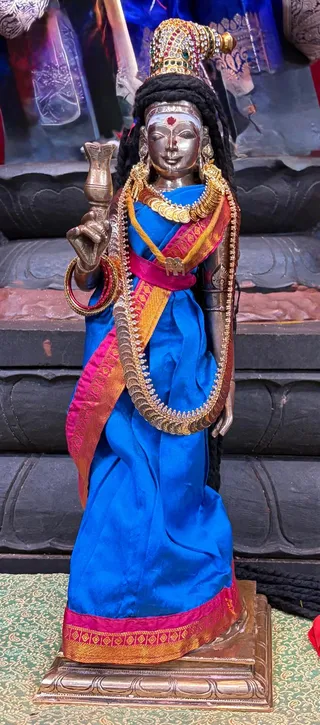 KAILASA Houston On November 29, 2025