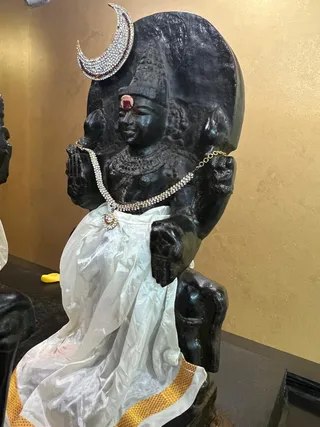 KAILASA HOUSTON USA On 29/12/2024