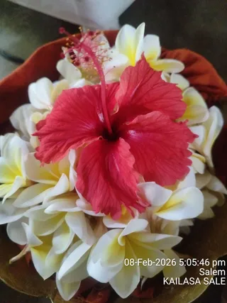 KAILASA SALEM On February 8, 2026