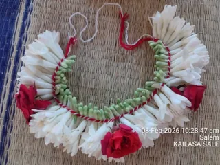 KAILASA SALEM On February 8, 2026