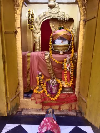 KAILASA KASHI INDIA On 15/2/2025
