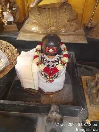 KAILASA KASHI On 21/7/2024