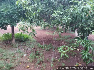 KAILASA Salem On 29/6/2024