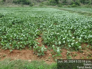 KAILASA Salem On 29/6/2024