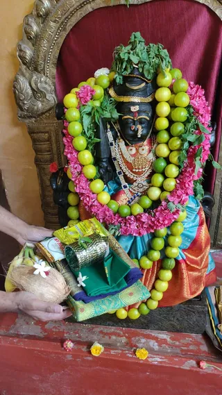 A black stone deity murti is dressed for worship, adorned with a dense garland of lime fruits and pink flowers, green leaves tucked over its head, and layers of gold and pearl necklaces. The murti wears a blue and red silk garment and a red-bordered sari-style drape. In the foreground, a pair of hands offers a tray holding a coconut, bananas, a green cloth, a gold-coloured bangle-like ornament, packaged items and white flowers. Scattered yellow and pink petals lie on the red-painted step below. No people are fully visible.