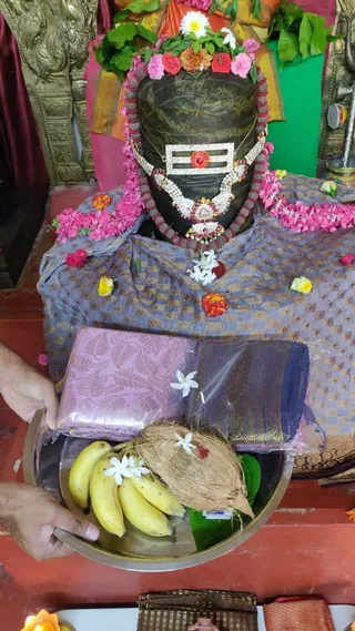 Close-up photo of a dark Shiva lingam in a temple shrine, draped in a blue-grey checked cloth and decorated with a silver tripundra and jewelled pendant, wrapped in strands of pink and red flowers with a garland of red rudraksha-style beads. Flower petals are scattered around its base. In the foreground, two hands hold a brass plate containing a folded pink and purple silk cloth, bananas, a coconut with a white flower and a sprig of green leaf, as offerings for puja. Gold-patterned temple fabric and a brass lamp are visible at the edges.