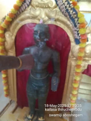 A blurred photograph of a dark metal or stone standing figure, a deity murti shown bare-chested with a dhoti, set in a gilded arched niche with red velvet backing and an ornate gold frame. The figure bears white and ash-coloured markings on the forehead, chest and arms, with a red tilak on the brow. Marigold garlands in yellow and orange hang around the frame, and a hand from the bottom left is pressed against or touching the figure's chest, apparently in the course of abhishekam or aboshegam. A fresh pink flower sits on the head. The lower corner carries a timestamp of 18-May-2025 13:20:35 and the captions 'kailasa thiruchenkodu' and 'a person aboshegam'.