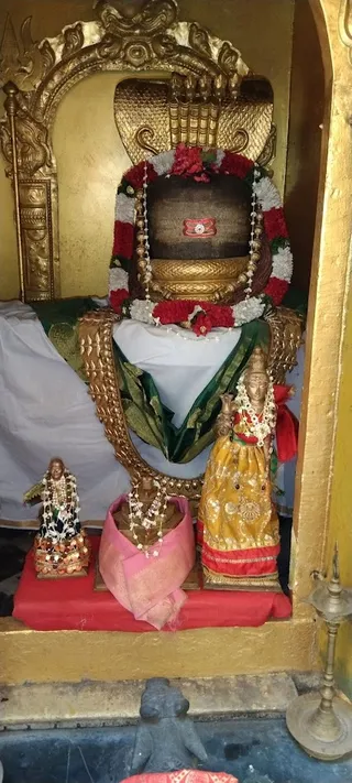KAILASA KASHI On 16/11/2025