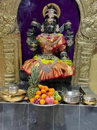 KAILASA Toronto On November 23, 2025