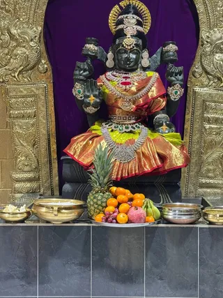 KAILASA Toronto On November 23, 2025