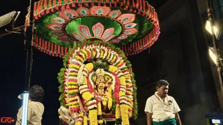 Night photograph of a street procession with a deity murti decorated with dense garlands of yellow, white and red flowers and green leaves, shaded by a large ornamental canopy with green fabric, pink and blue peacock-feather motifs and red-and-green tassels. A man in a white shirt, green lungi and white sacred thread stands at right with his head bowed. Another man with curly hair in a light shirt is partly visible at left. Bright street lights and illuminated shop signage surround the scene.