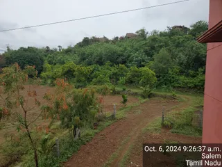 KAILASA Salem On 5/10/2024