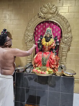 A shirtless priest in a white dhoti stands with his back to the camera, raising his arm toward a black stone deity murti seated in a gilded arched shrine. The murti wears a red and gold silk sari, a tall jeweled crown, a yellow flower garland and gold ornaments, with four arms holding pink flowers. In front on a black-tiled altar stands a brass tray of apples, bananas, grapes, a pineapple and other fruit, with brass and steel vessels with lids beside it. The priest appears to be performing a puja or naivedyam offering. The gold-painted wall and ornate carved frame complete the shrine scene.
